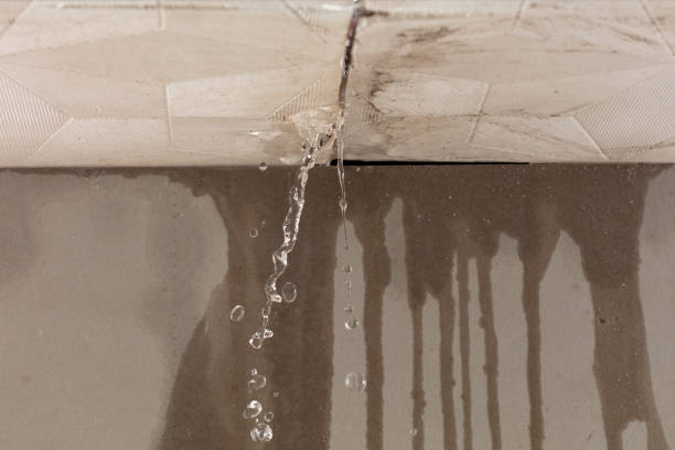 Professional Structural Drying technician working in East Greenville, PA